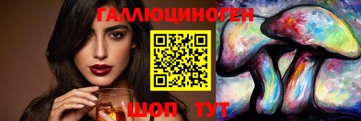 Галлюциногенные грибы Psilocybine cubensis Прохладный